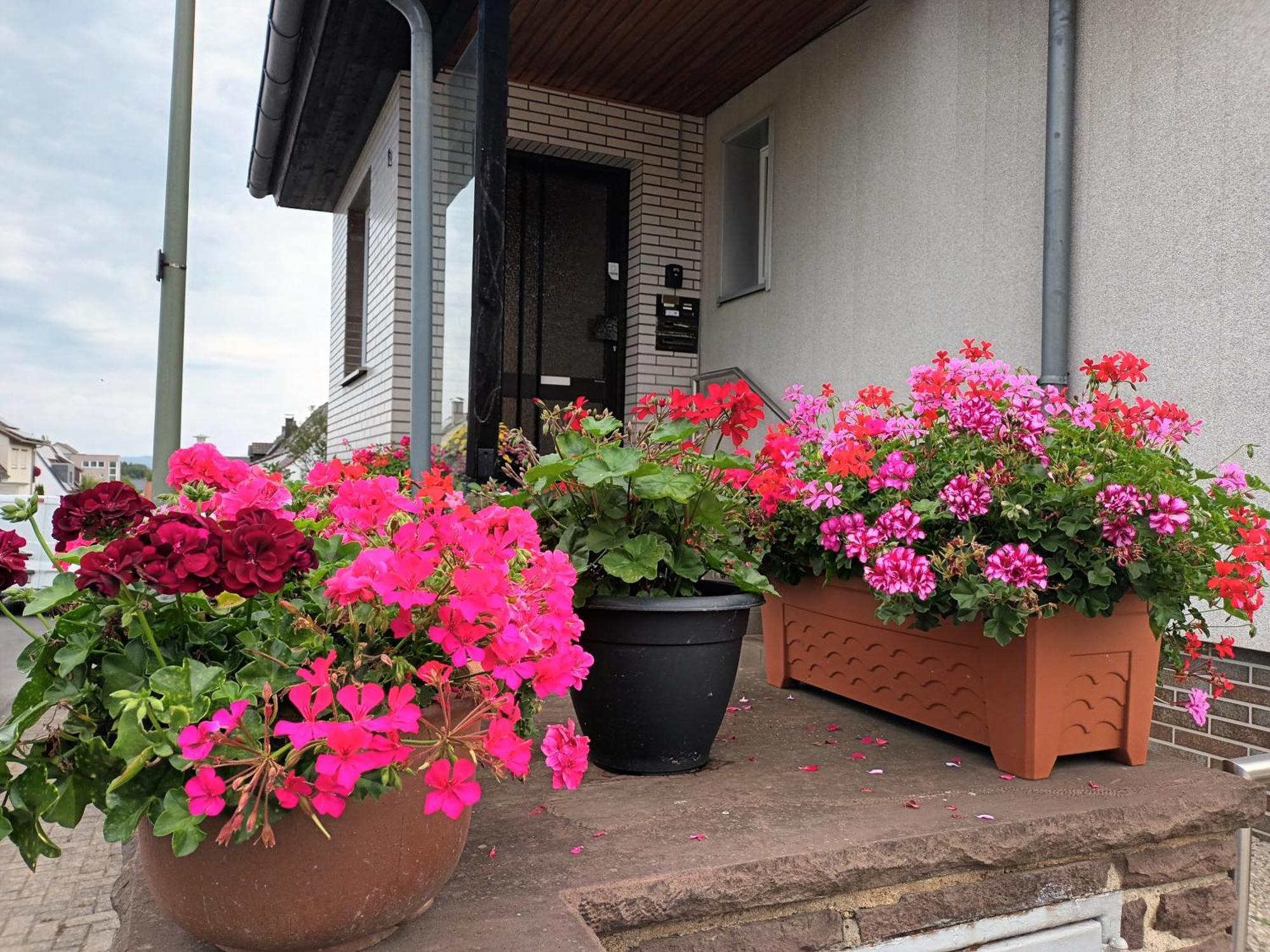Ferienwohnung Kassel Bagian luar foto